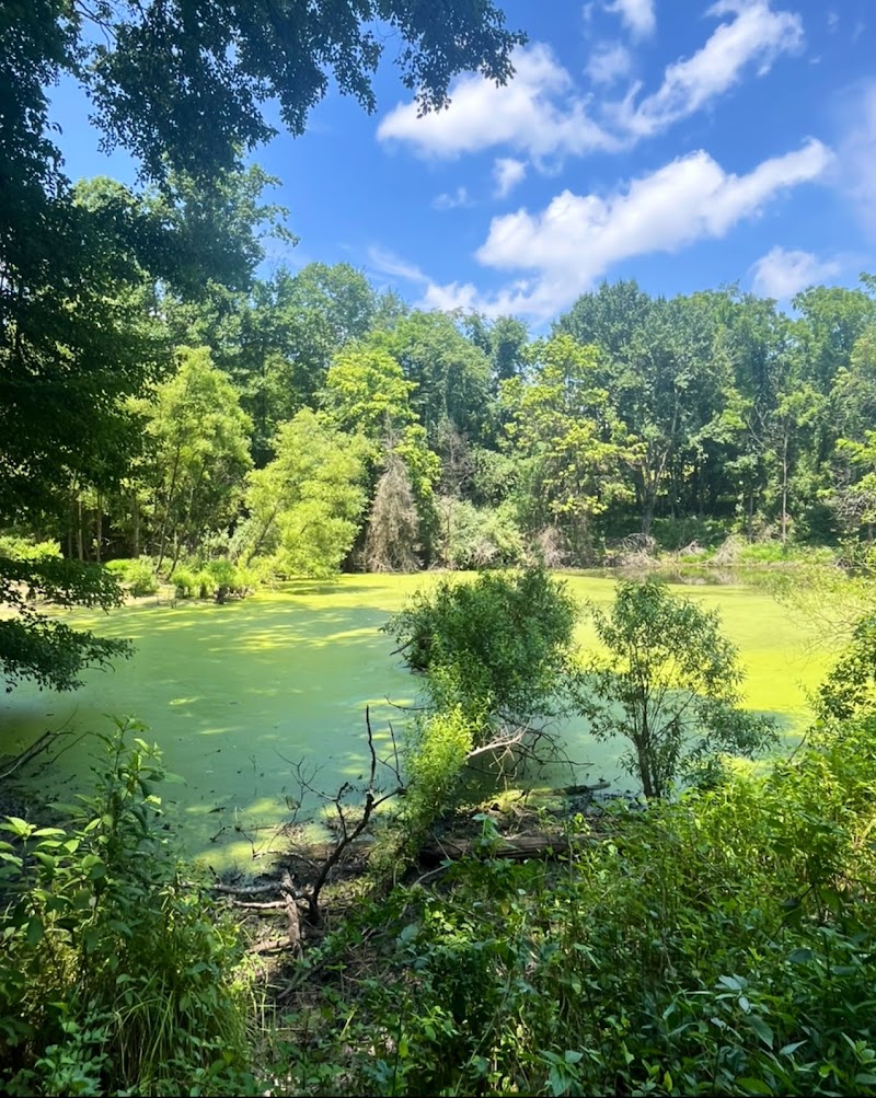 White Clay Creek Disc Golf Course photo 1
