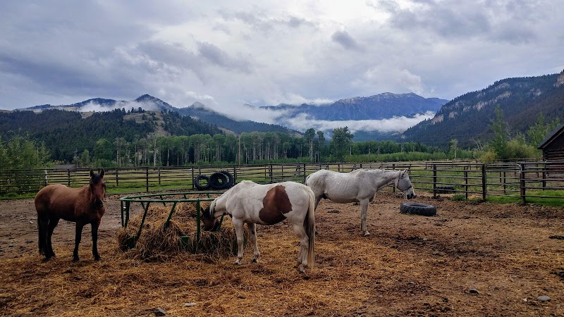 7D Ranch - Photo 2