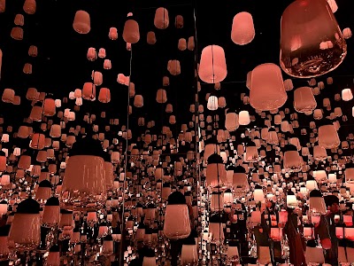 teamLab Biovortex Kyoto