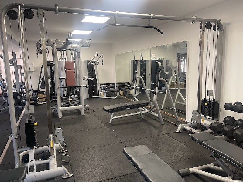 Palestra Revolution