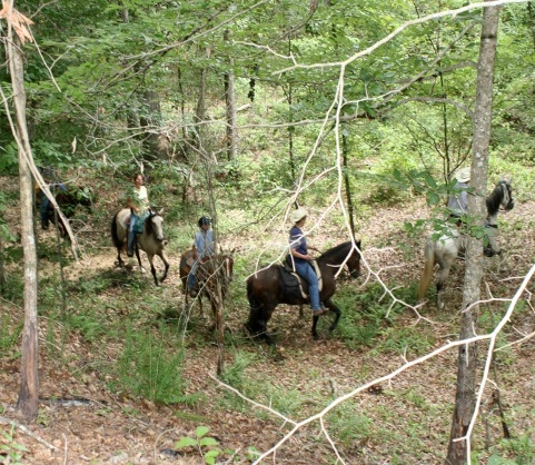 Hayes E Daze Ranch