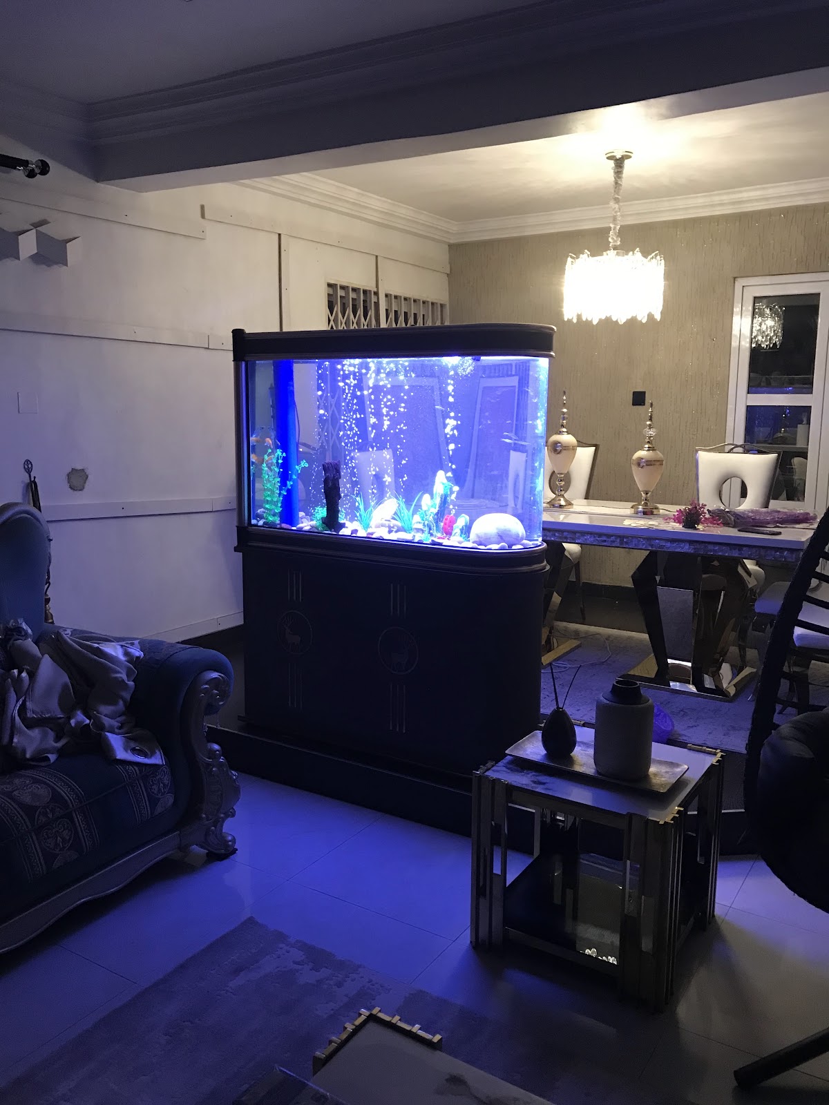 Unique Aquarium & Pools