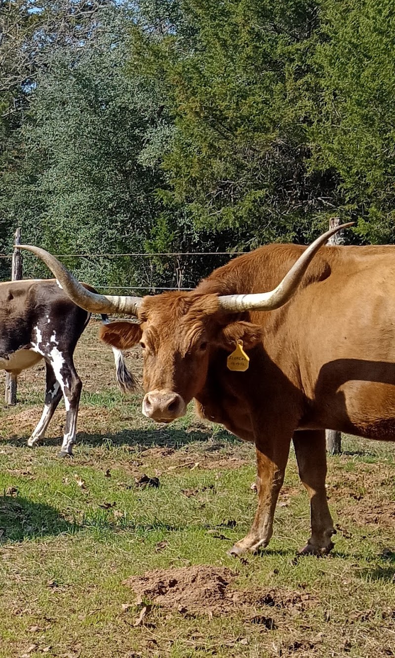 Davis Ranch Retreat - Photo 6