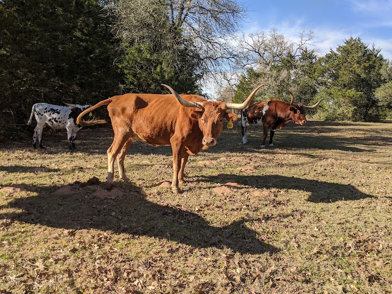 Davis Ranch Retreat - Photo 4
