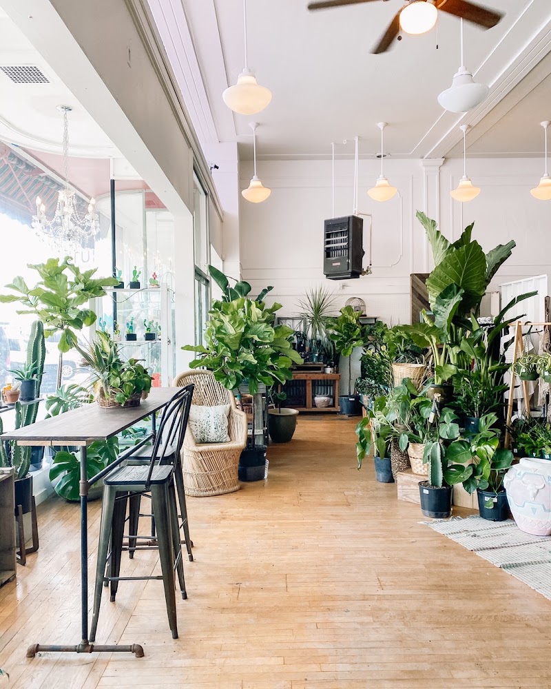 410 Niche Coffee & Shop photo 1