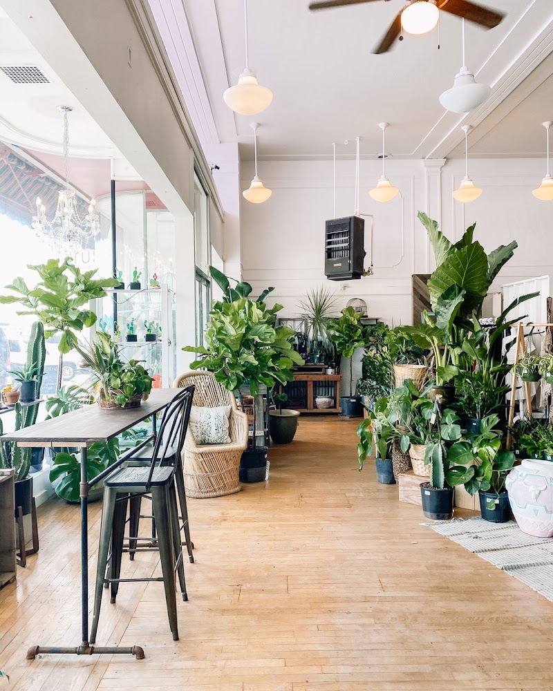 410 Niche Coffee & Shop photo 1