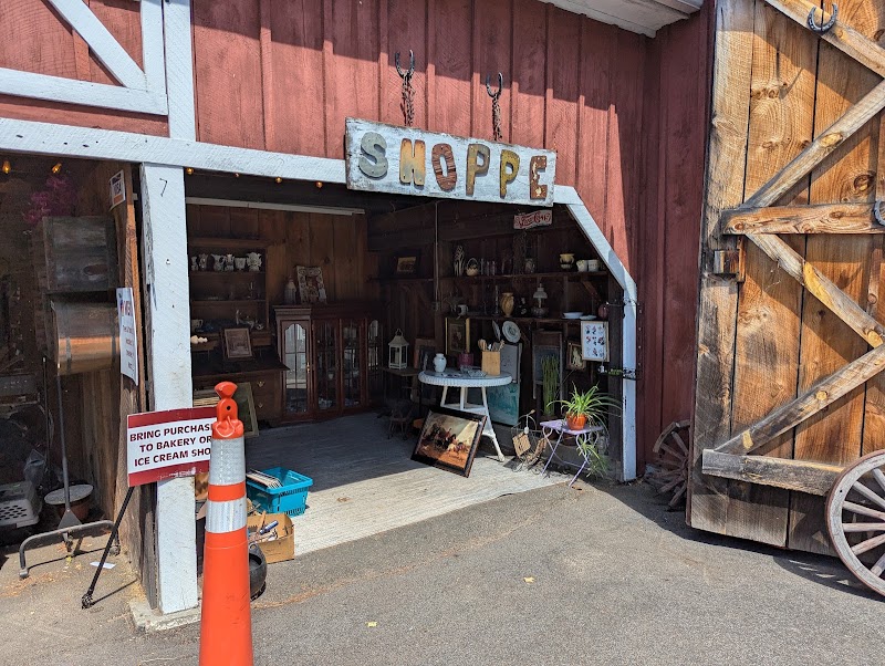 The Apple Place photo 4