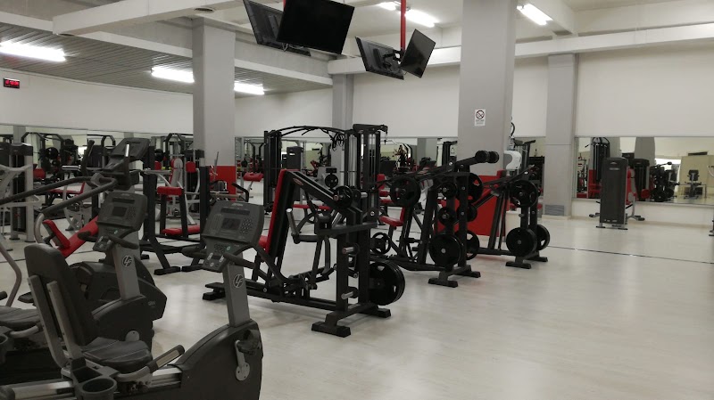 Freedom Fitness 2