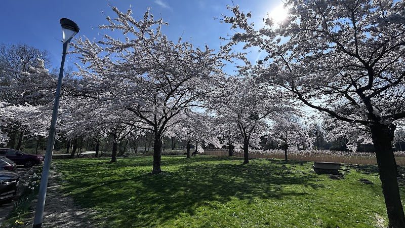 Stadspark Hoofddorp