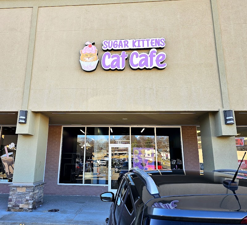 Sugar Kittens Cat Cafe & Cattery