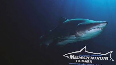 Meereszentrum Fehmarn