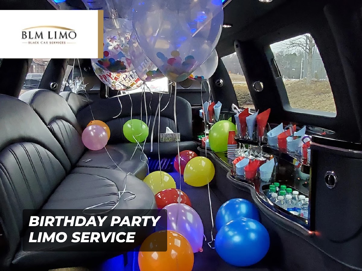 Boston Limo Mustache & Car service Inc: Google Places image 4