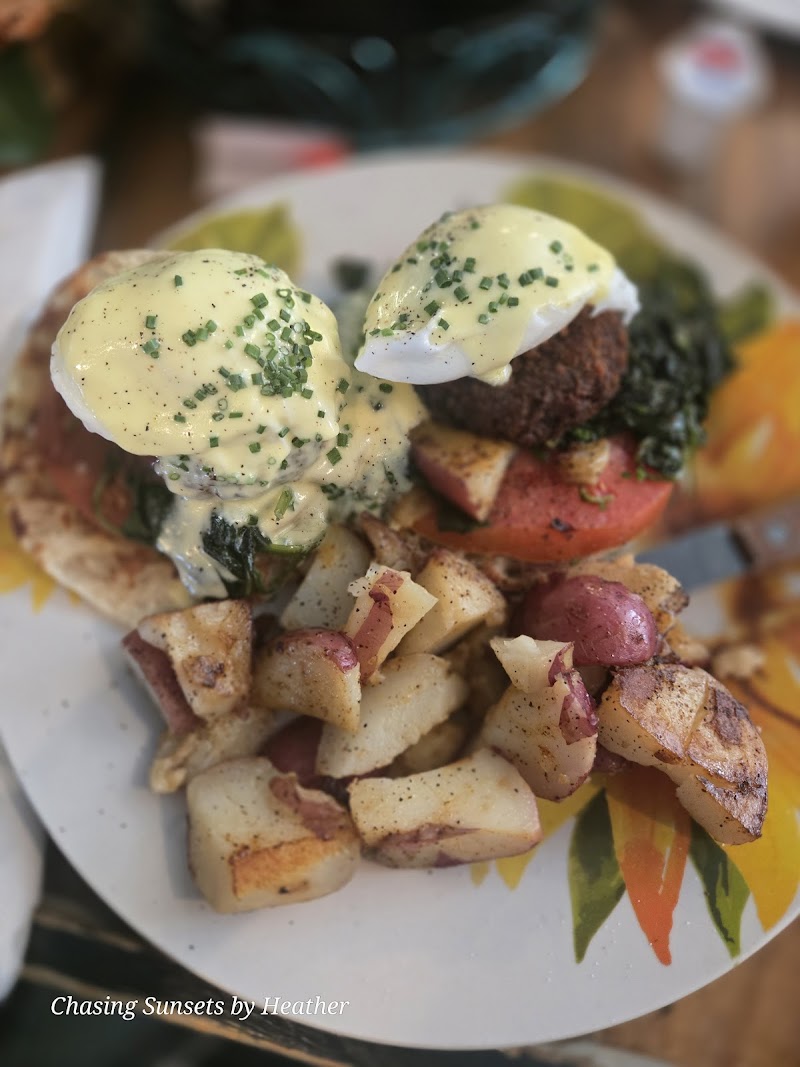 Sammy’s Bullfrog Cafe photo 4