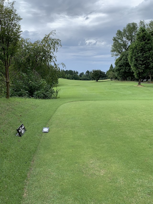 Chiba Birdie Club - Photo 1