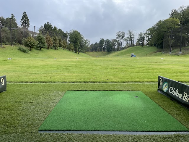 Chiba Birdie Club Jeff Yamaguchi (Chiba) - Photo 9