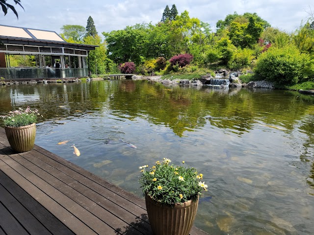 Chiba Birdie Club - Photo 3