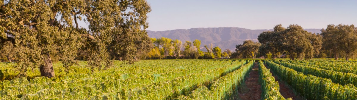 Roblar Winery and Vineyards - Santa Ynez Estate Tasting Room