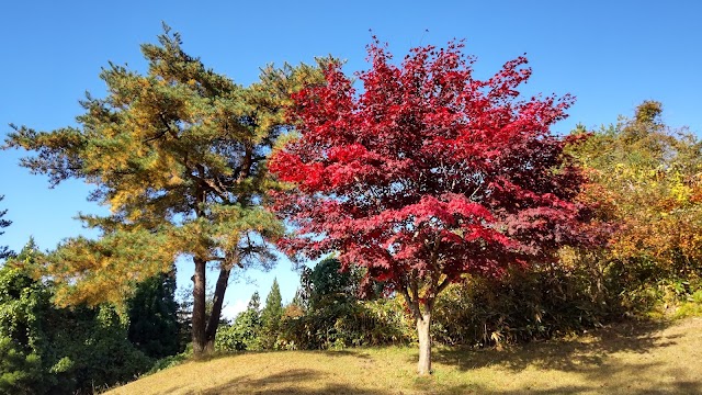 Akita Taiheizan Country Club - Photo 9