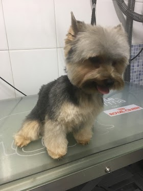 Clínica Veterinaria Eras