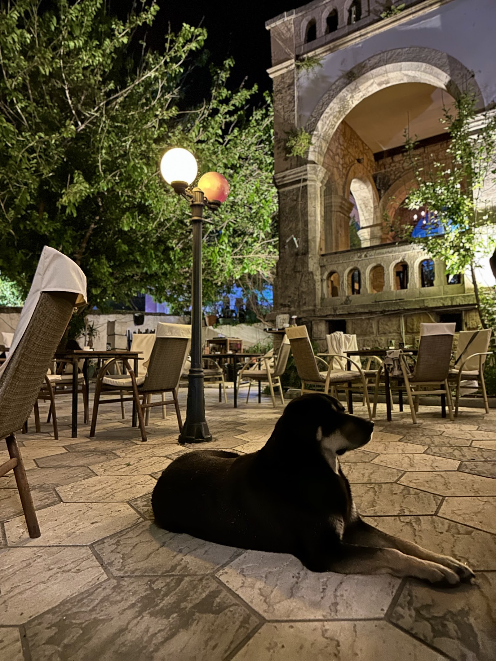 Ego Bar mekanı