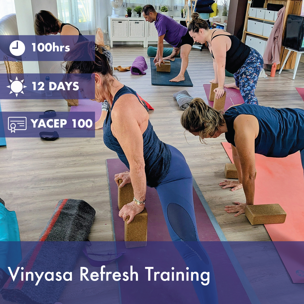 ReAlign International YOGA School — 3
