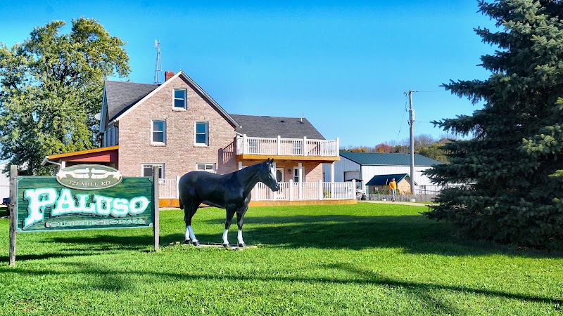 Palomino Pines Guest Ranch - Photo 5