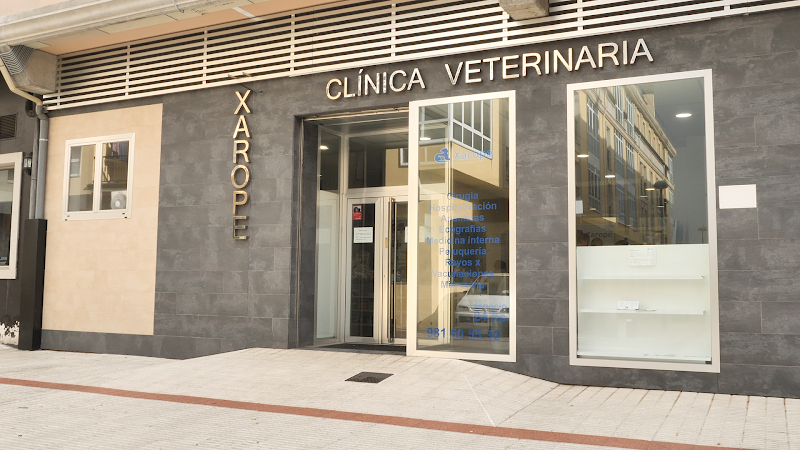 Clínica Veterinaria Xarope