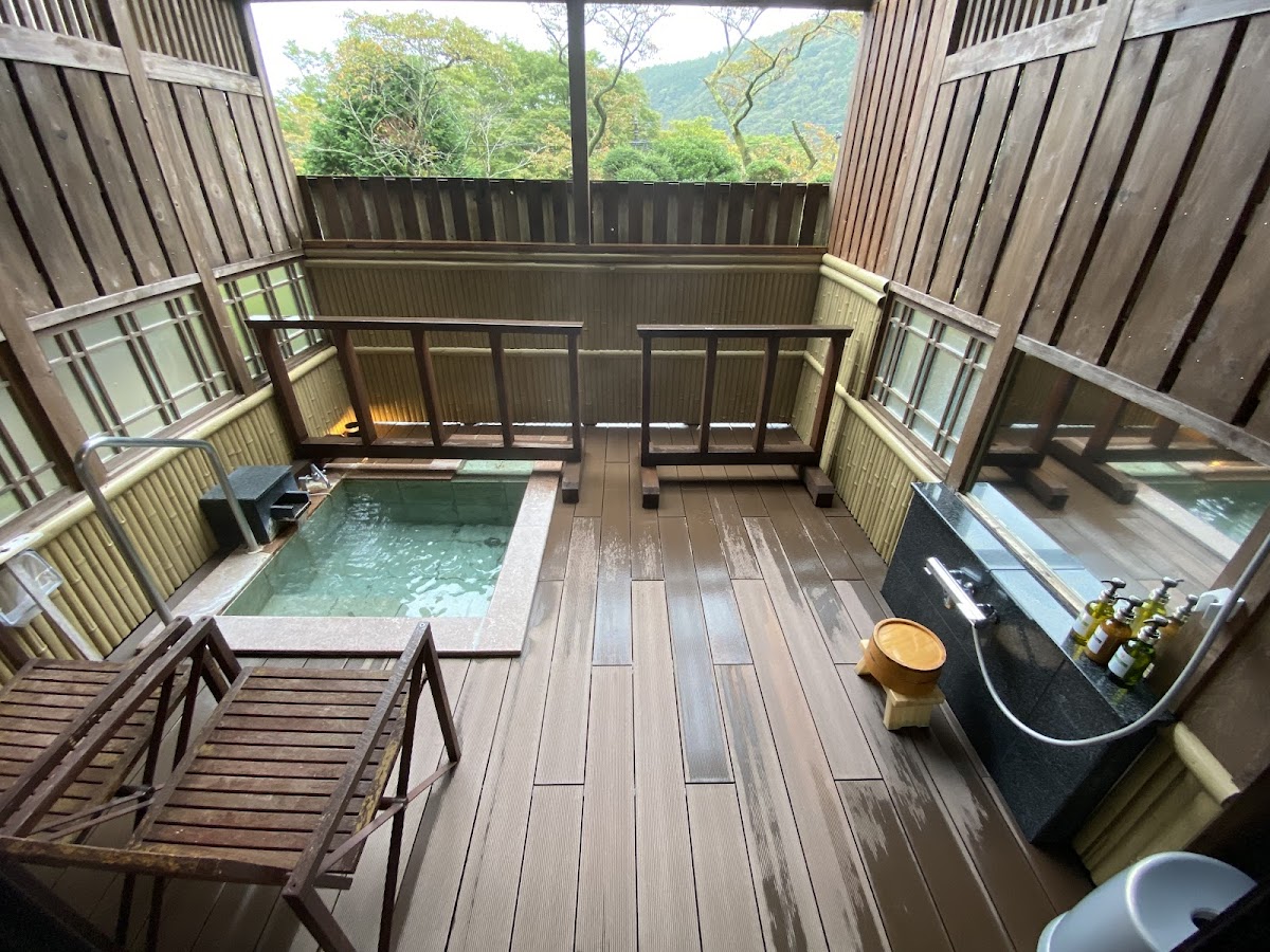 Mikawaya Ryokan - ryokan in Hakone/Miyanoshita, Kanagawa (3)
