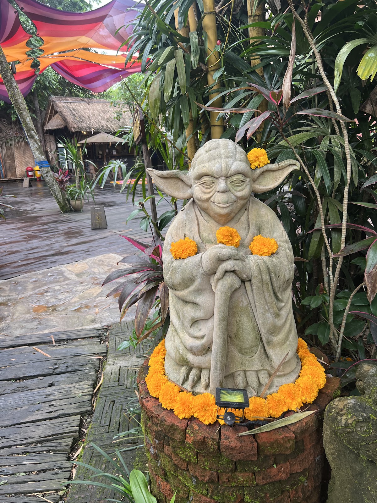 The Yoga Barn — 4