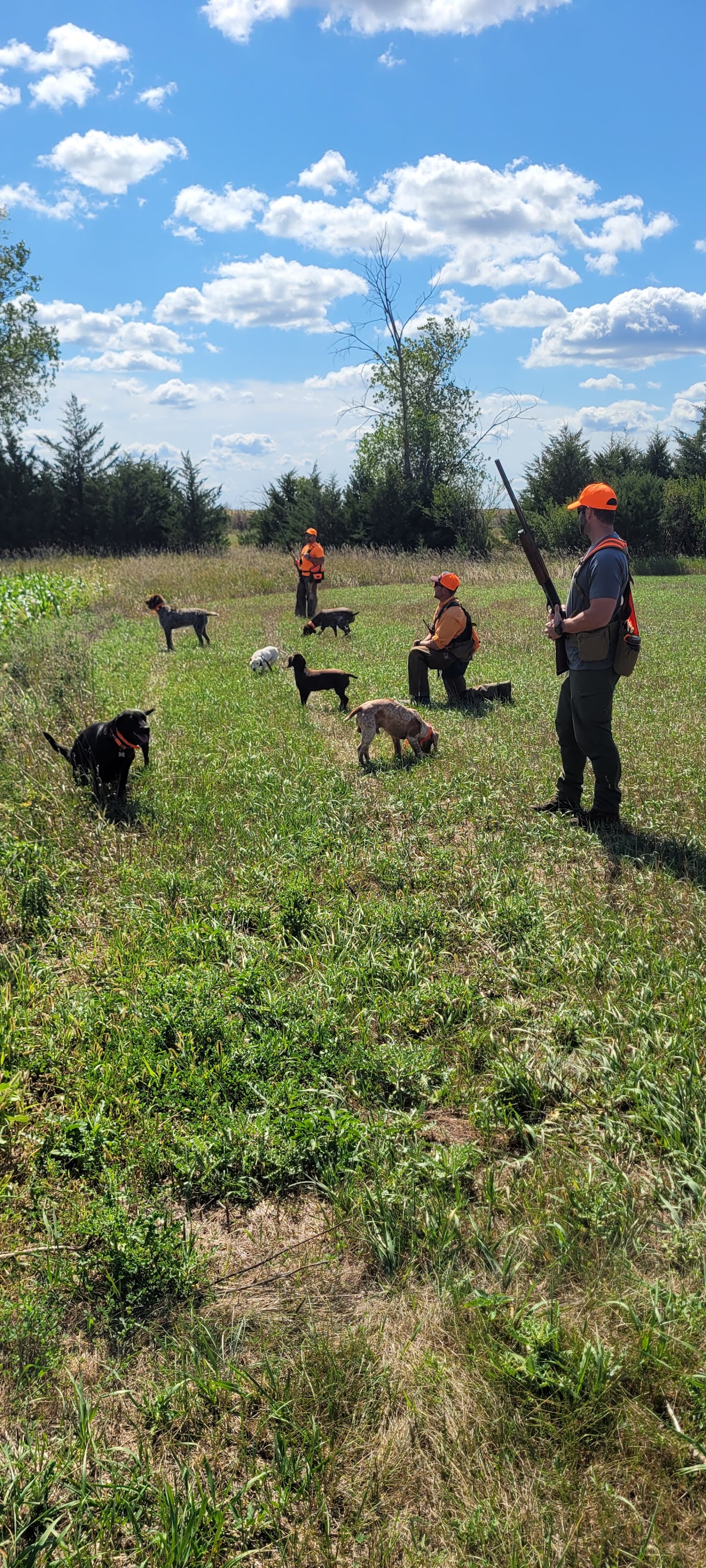 South Dakota Pheasant Acres