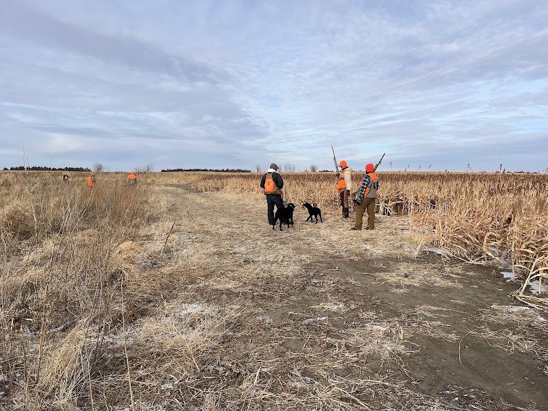 South Dakota Pheasant Acres - Photo 5