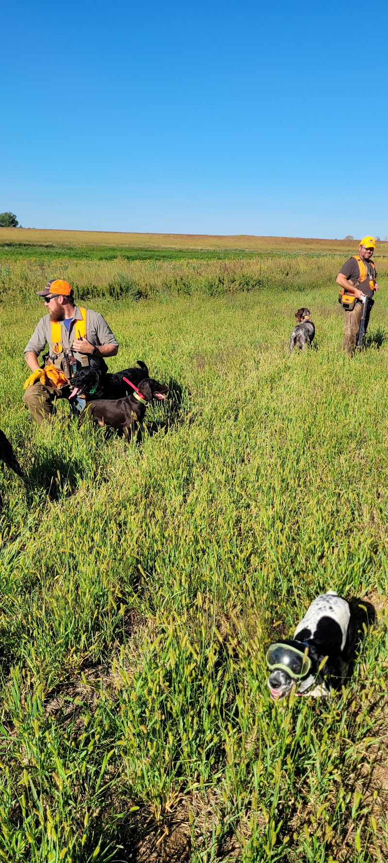 South Dakota Pheasant Acres - Photo 6