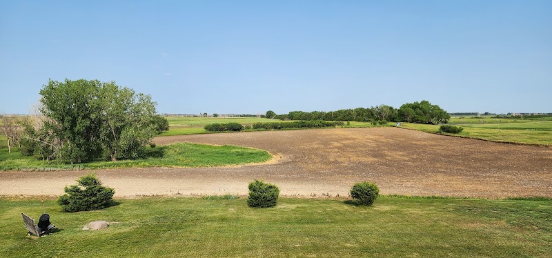 South Dakota Pheasant Acres - Photo 1