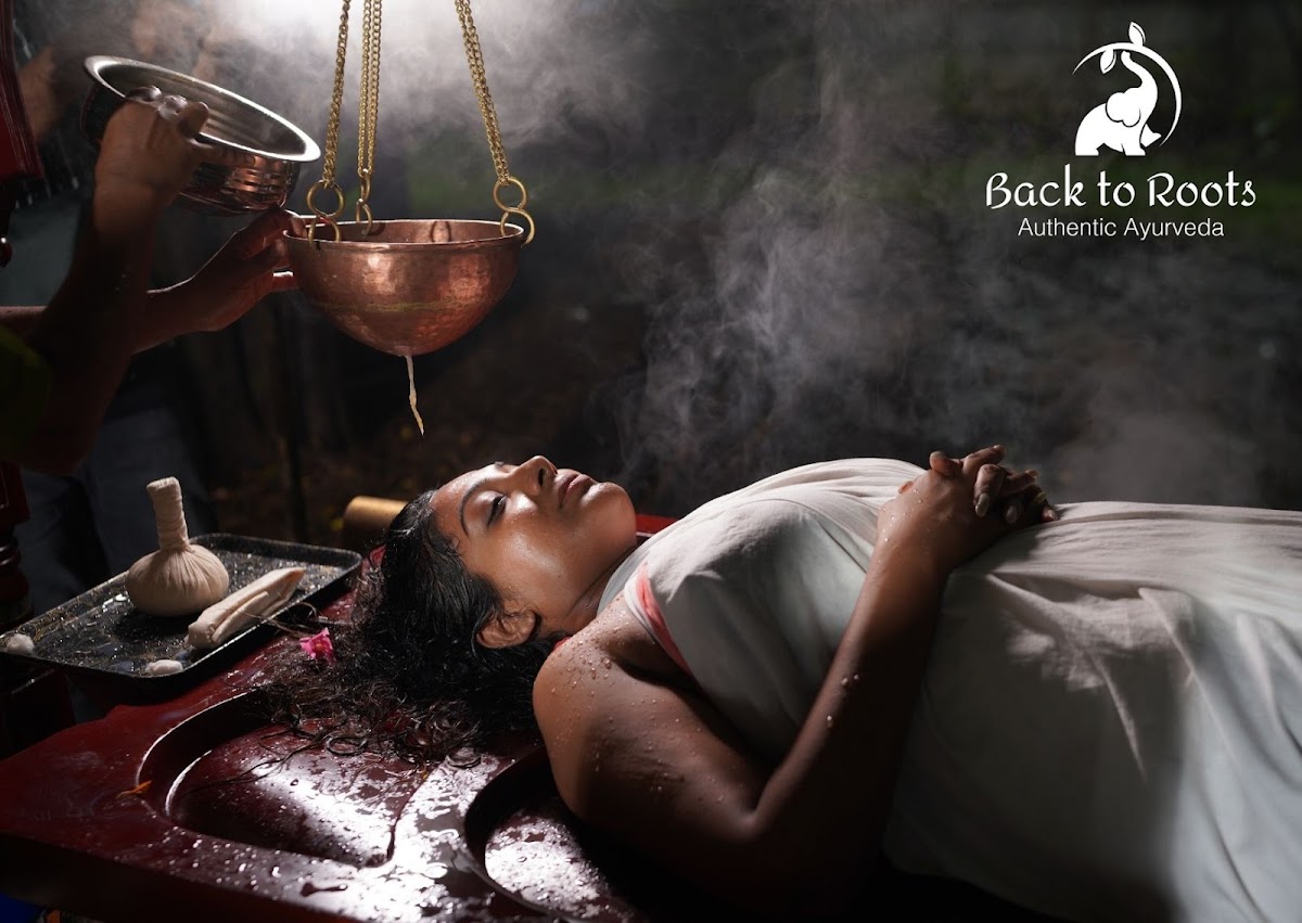 Back to Roots Ayurveda Retreat & Hospital — 4