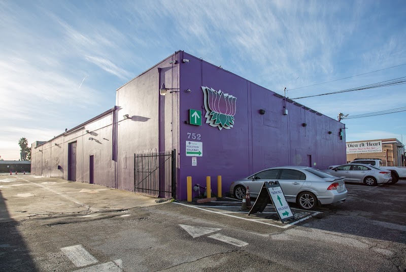 Video tour of Purple Lotus San Jose Cannabis Dispensary & Delivery retail environment