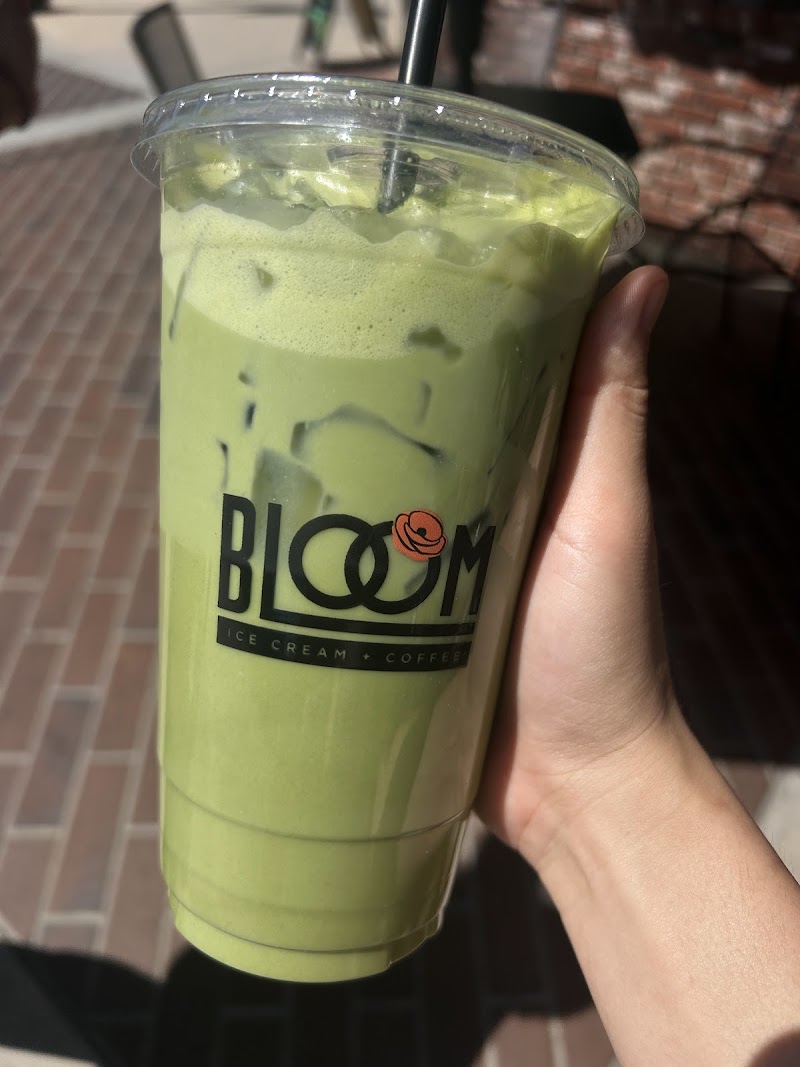 Bloom Ice Cream + Coffee photo 3