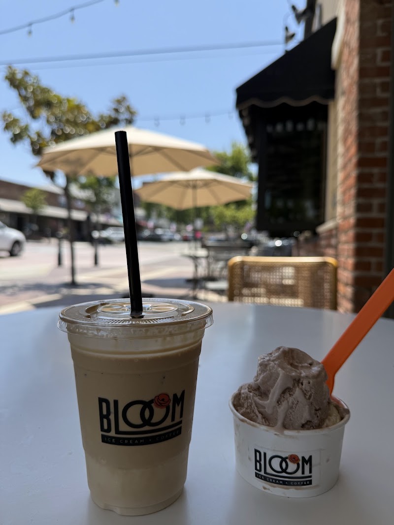 Bloom Ice Cream + Coffee photo 3