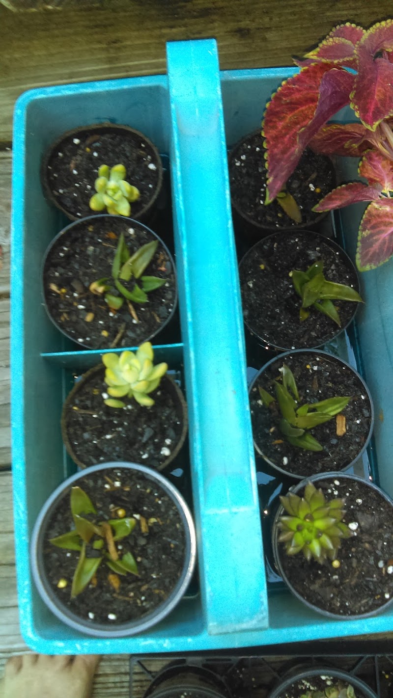 Tim's Heating & Air Conditioning