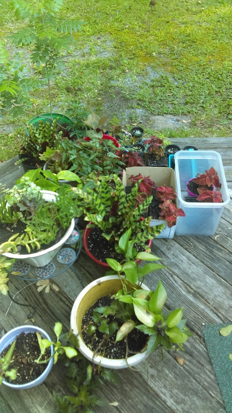 Tim's Heating & Air Conditioning