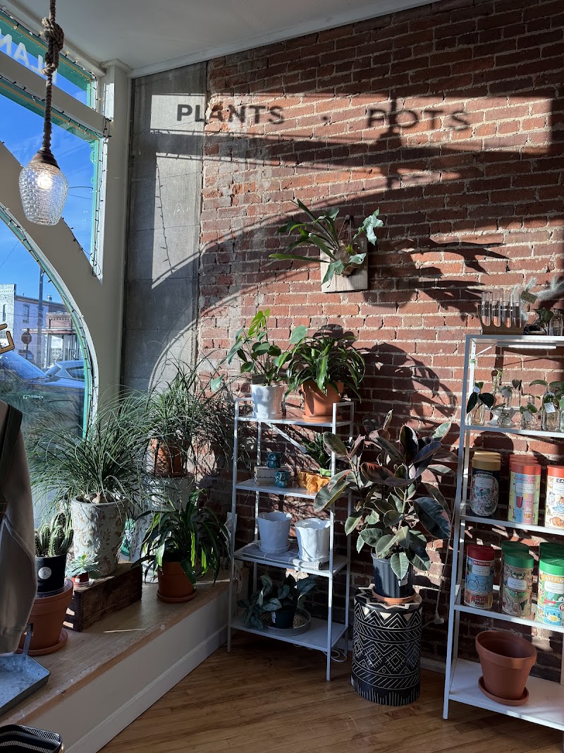 Evergreen Plant and Coffee Co photo 2