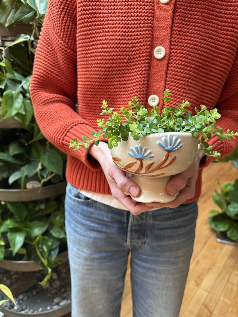 Evergreen Plant and Coffee Co photo 3