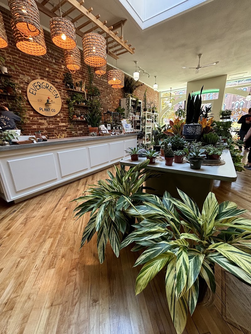 Evergreen Plant and Coffee Co photo 2
