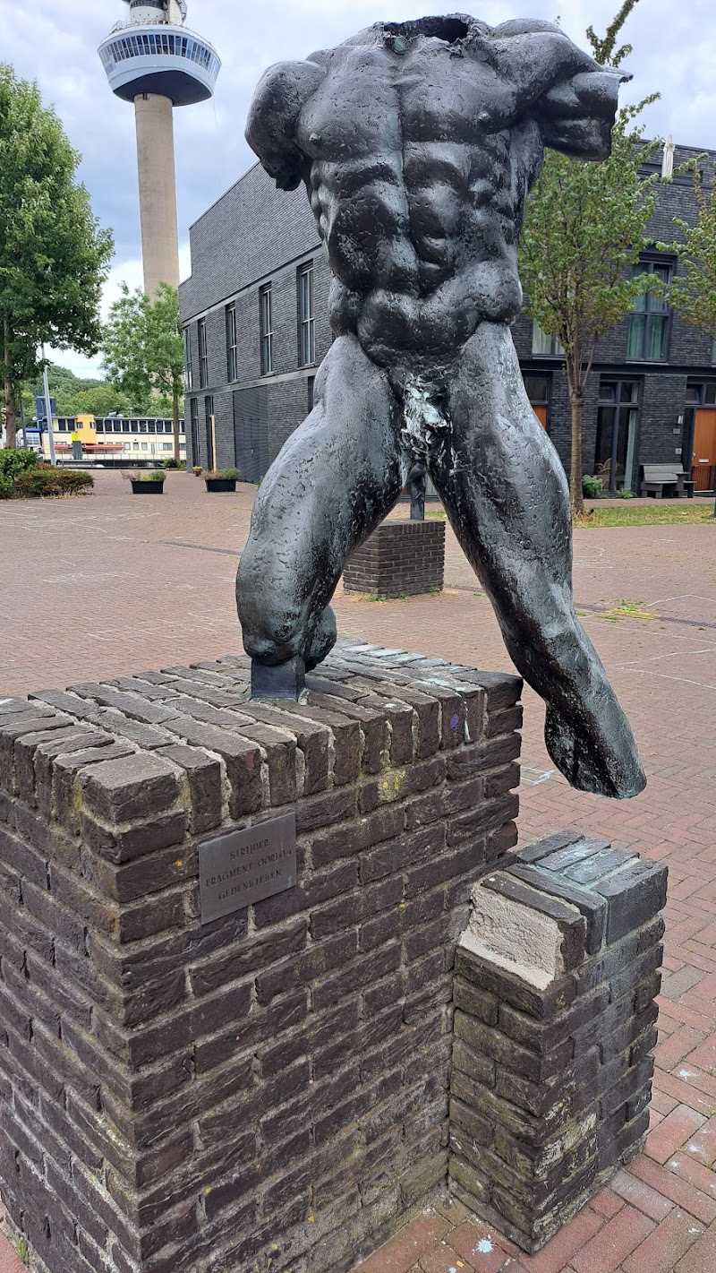 Mullerpier