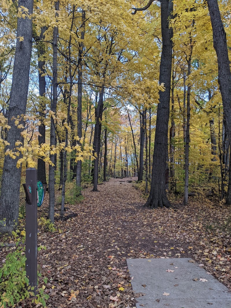 Brown Deer Disc Golf Course photo 1