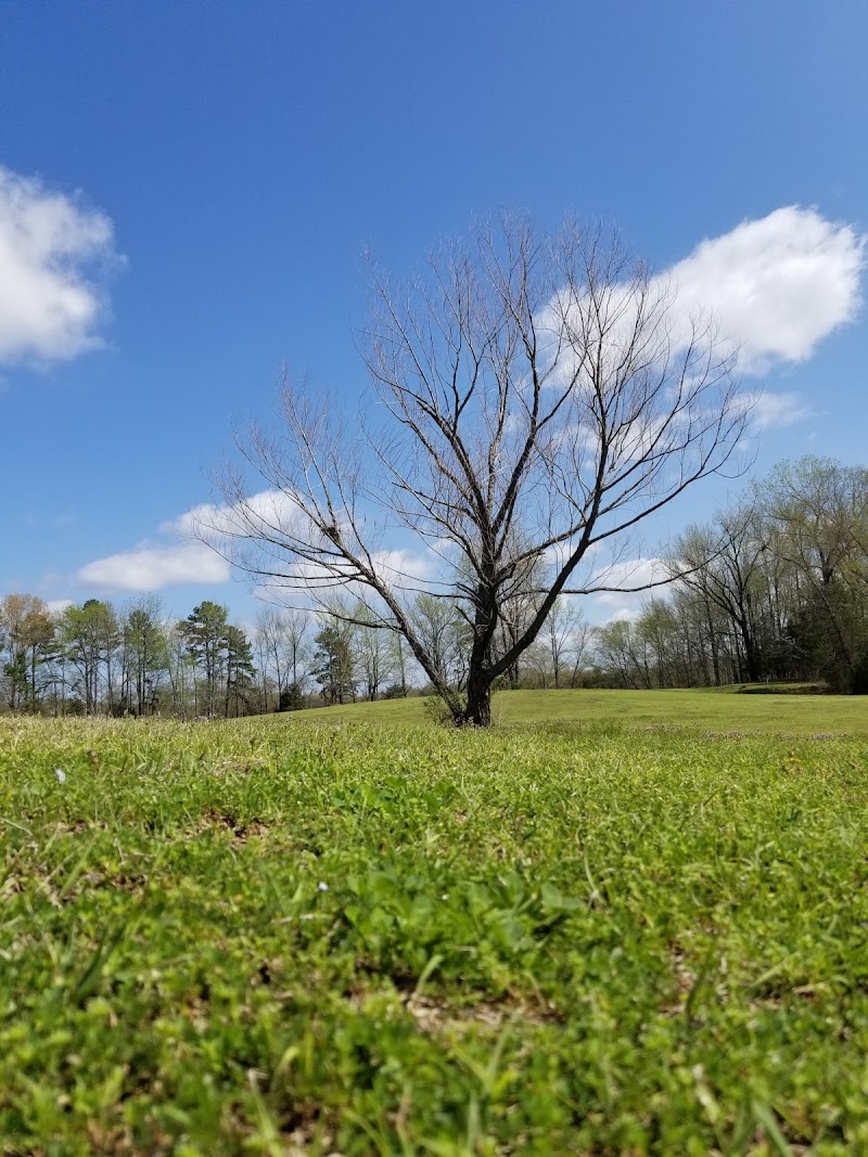 Russellville Disc Golf Course photo 4