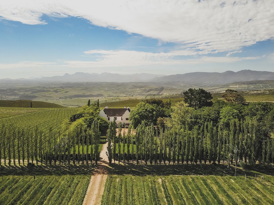 Iona Wines