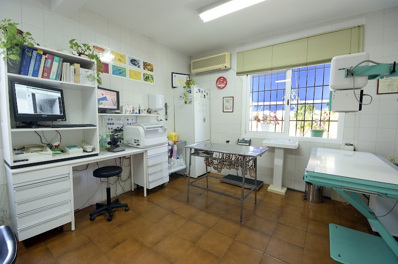 Clínica Veterinaria Pedregalejo