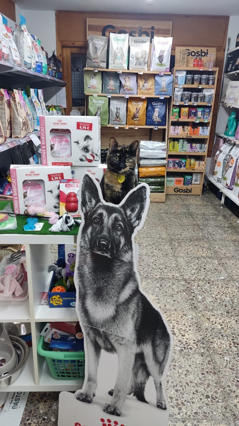 GAREM Veterinarios Segur