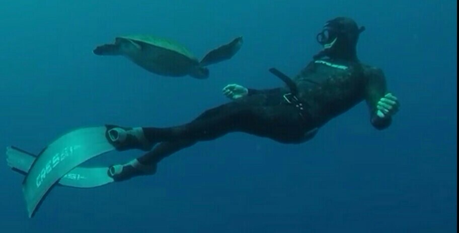 Freediving in Costa Adeje