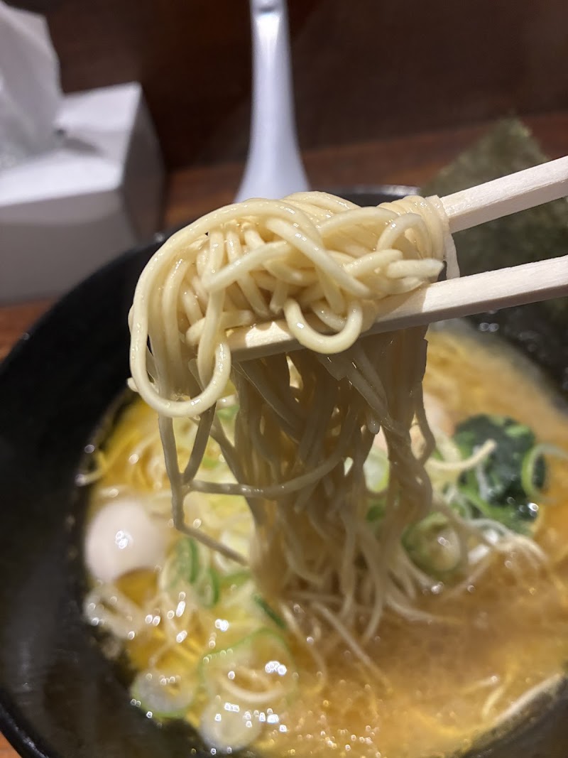 西新 海豚や 写真3